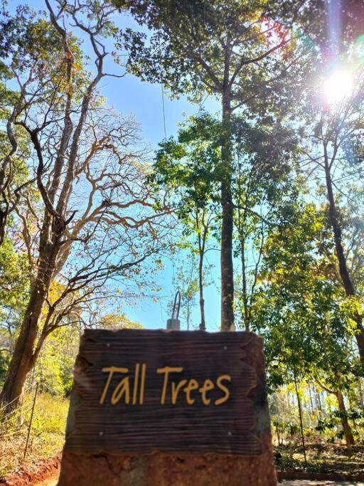 Tall Trees - Modern Forest Villa In Wayanad 苏丹巴特利 外观 照片