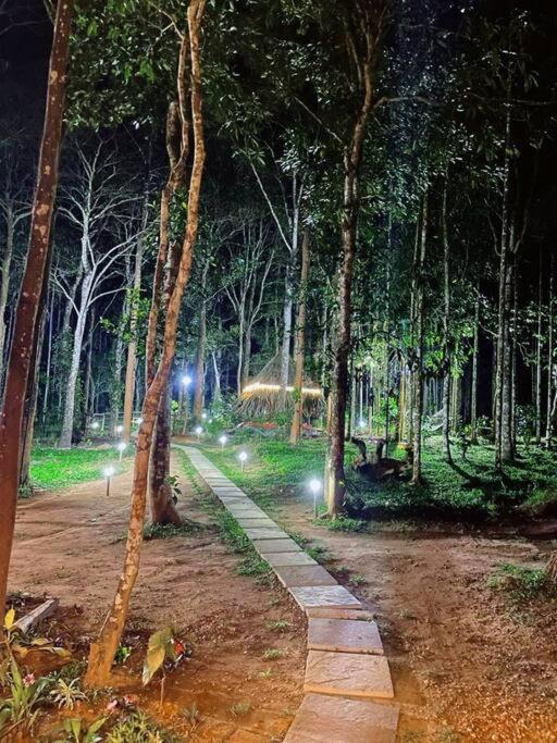 Tall Trees - Modern Forest Villa In Wayanad 苏丹巴特利 外观 照片