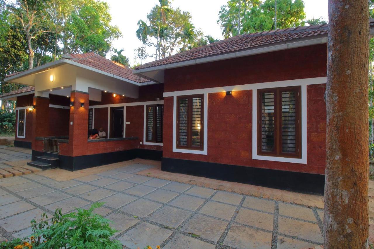 Tall Trees - Modern Forest Villa In Wayanad 苏丹巴特利 外观 照片