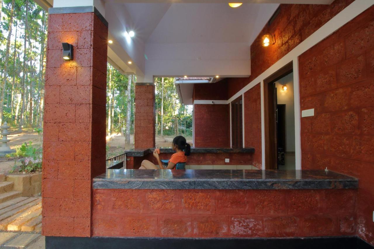 Tall Trees - Modern Forest Villa In Wayanad 苏丹巴特利 外观 照片