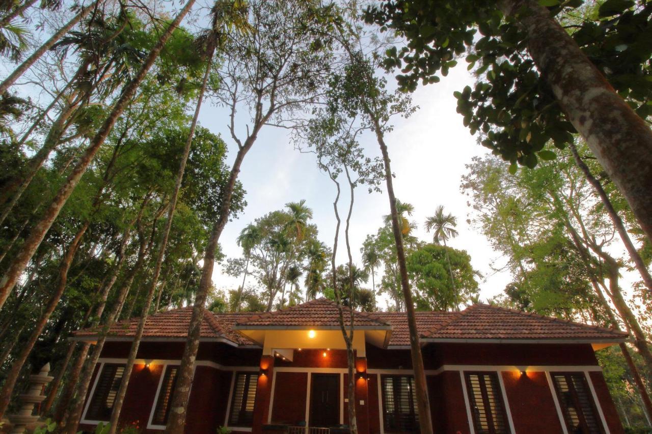 Tall Trees - Modern Forest Villa In Wayanad 苏丹巴特利 外观 照片