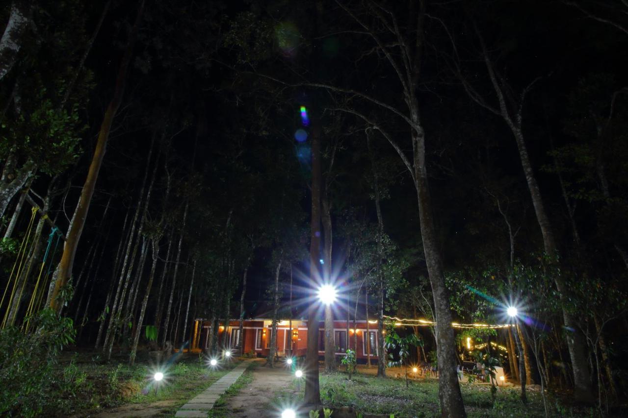 Tall Trees - Modern Forest Villa In Wayanad 苏丹巴特利 外观 照片