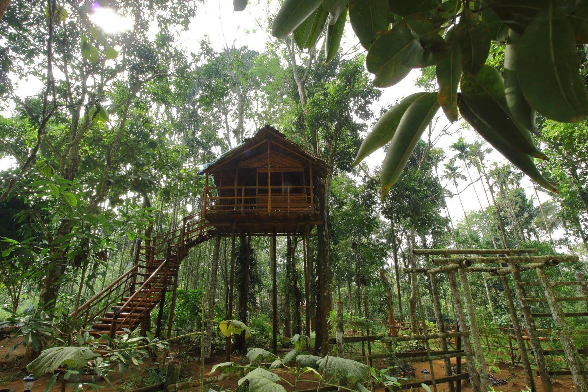Tall Trees - Modern Forest Villa In Wayanad 苏丹巴特利 外观 照片